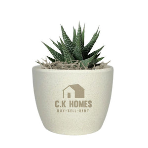 Add Your Logo: Recycled Planter Pot with Succulent