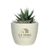 Add Your Logo: Recycled Planter Pot with Succulent