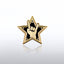 Rockstar pin