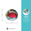 Vibrant Luminary Crystal Collection - Round Paperweight