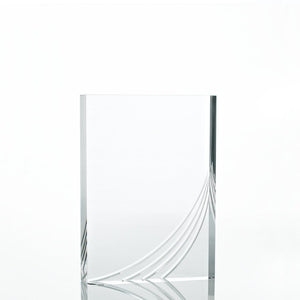Contemporary Acrylic Trophy Collection - Rectangle