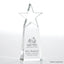 Crystal Star Pinnacle Trophy - Clear