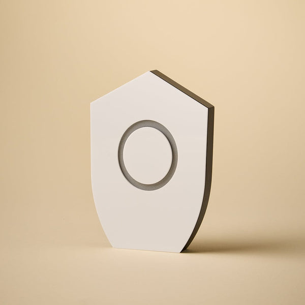 MagnaShield Perpetual Award