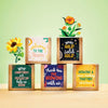 Growable Praise Plant Kit - Help Us Grow