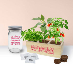 Fiesta Planter Kit & Salsa Gift Set