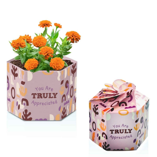 Pop Up Planter Starter Kit - Truly Appreciated, customizable branded uncategorized, product image