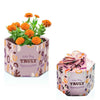 Pop Up Planter Starter Kit - Truly Appreciated