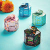 Pop Up Planter Starter Kit - Truly Appreciated