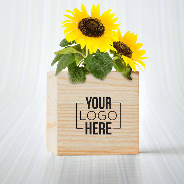Custom: Appreciation Plant Cube - Sunflower