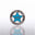 Lapel Pin - 2026 Cut Out Star