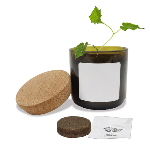 Add Your Logo: Vintage Bloom Grow Kit