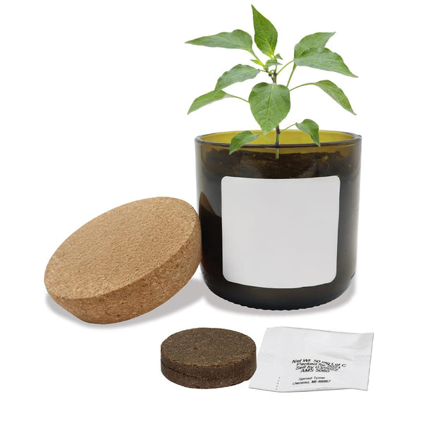 Add Your Logo: Vintage Bloom Grow Kit