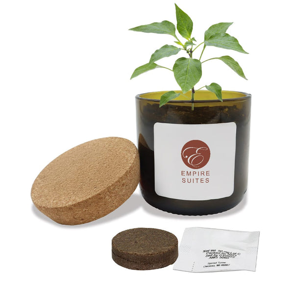Add Your Logo: Vintage Bloom Grow Kit