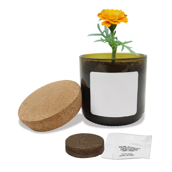 Add Your Logo: Vintage Bloom Grow Kit