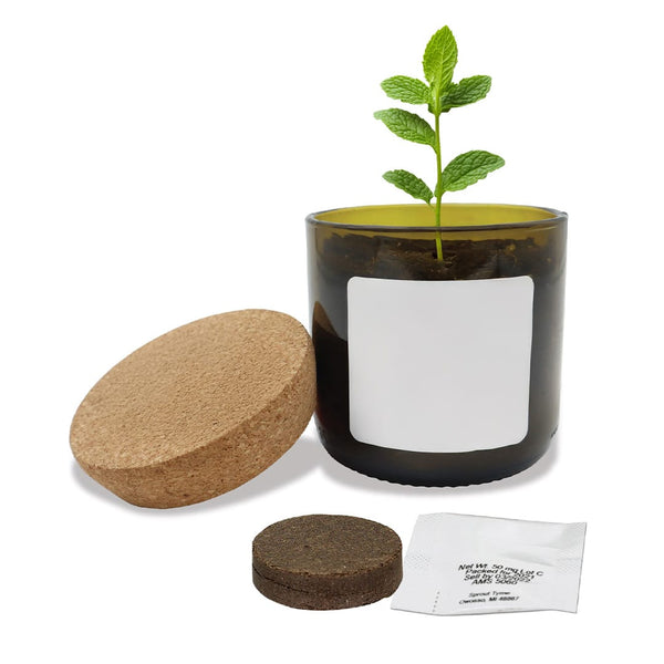 Add Your Logo: Vintage Bloom Grow Kit
