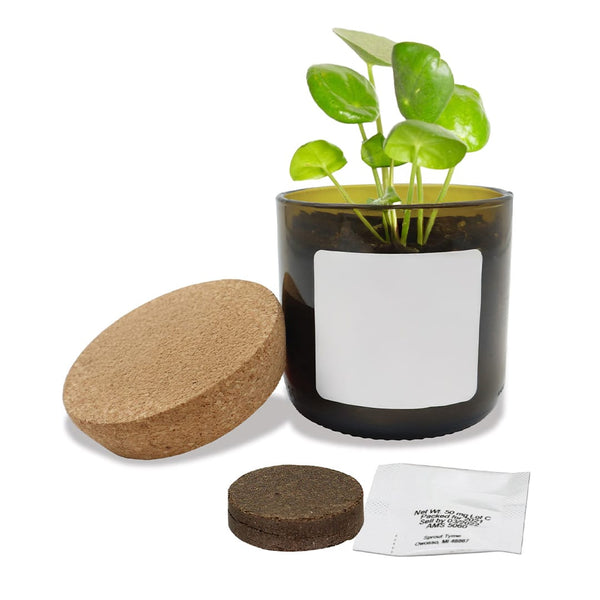 Add Your Logo: Vintage Bloom Grow Kit
