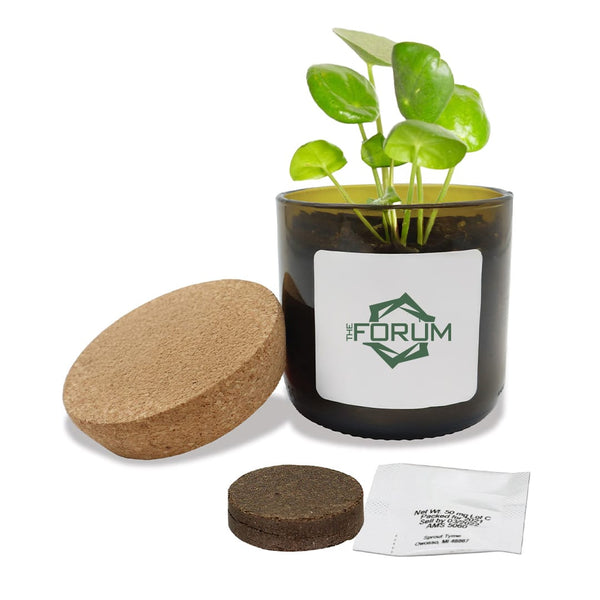 Add Your Logo: Vintage Bloom Grow Kit