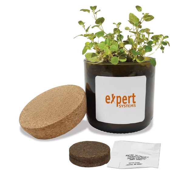 Add Your Logo: Vintage Bloom Grow Kit