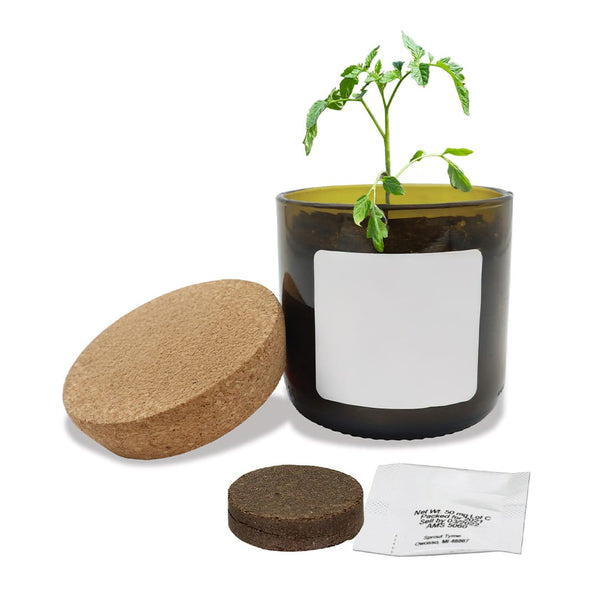 Add Your Logo: Vintage Bloom Grow Kit