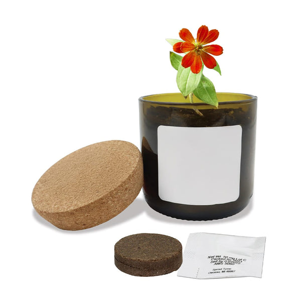 Add Your Logo: Vintage Bloom Grow Kit