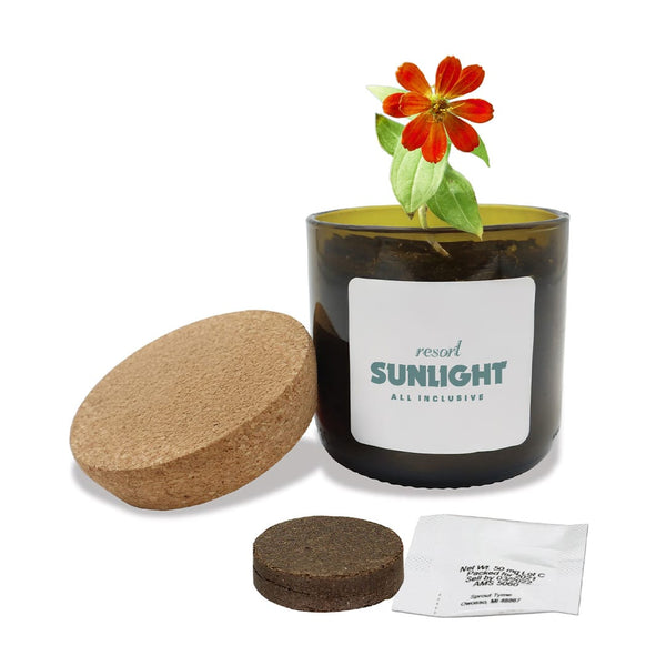 Add Your Logo: Vintage Bloom Grow Kit
