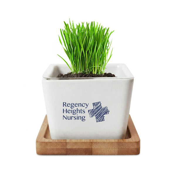 Add Your Logo: Verdant Root Ceramic Planter