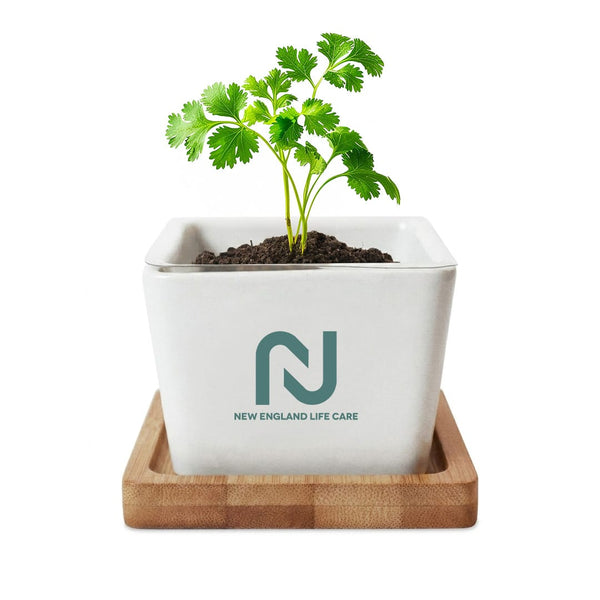 Add Your Logo: Verdant Root Ceramic Planter