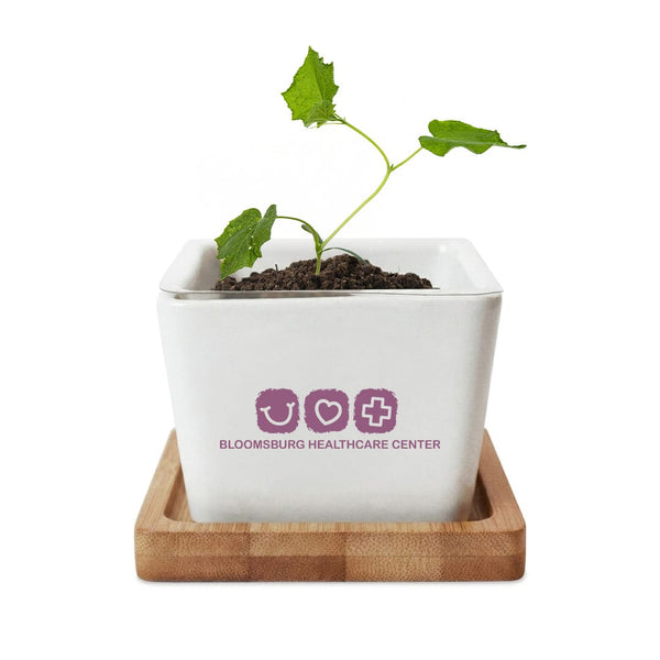 Add Your Logo: Verdant Root Ceramic Planter