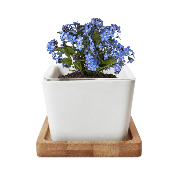 Add Your Logo: Verdant Root Ceramic Planter