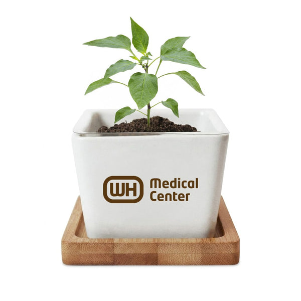 Add Your Logo: Verdant Root Ceramic Planter