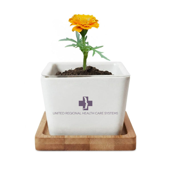 Add Your Logo: Verdant Root Ceramic Planter