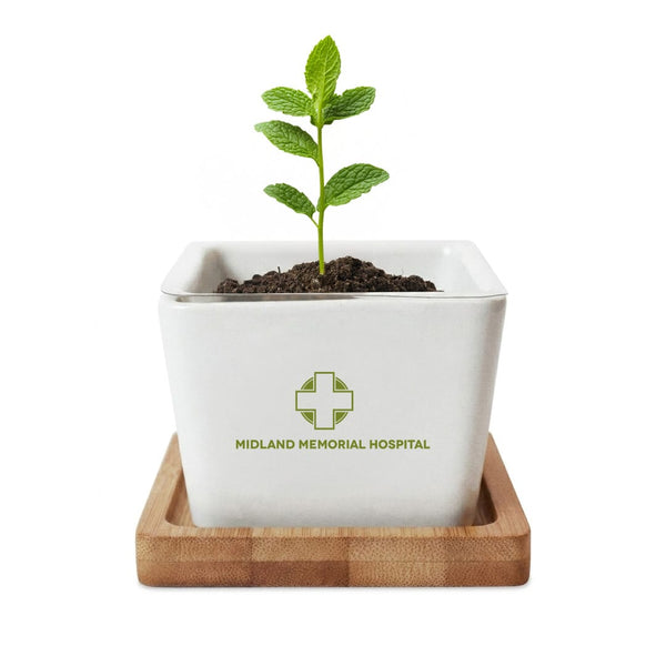 Add Your Logo: Verdant Root Ceramic Planter