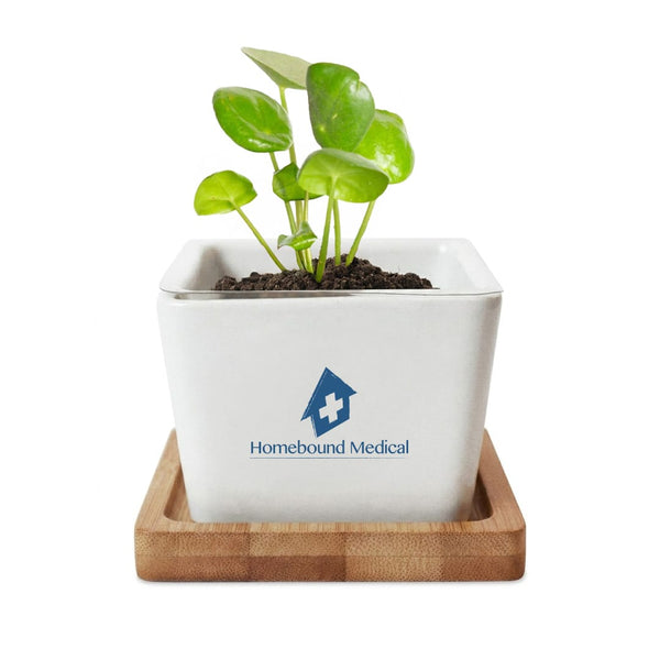 Add Your Logo: Verdant Root Ceramic Planter
