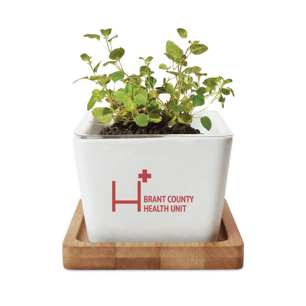 Add Your Logo: Verdant Root Ceramic Planter