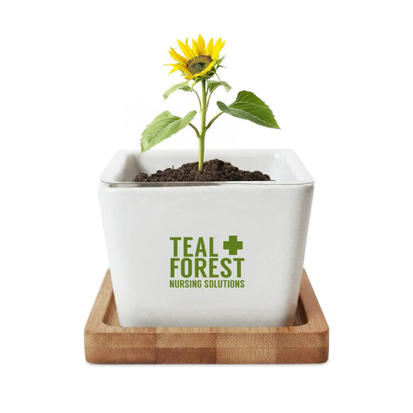 Add Your Logo: Verdant Root Ceramic Planter