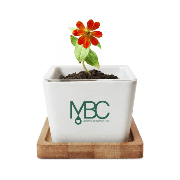 Add Your Logo: Verdant Root Ceramic Planter