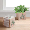 Appreciation Plant Cube - Stronger Together Holiday