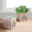 Appreciation Plant Cube - Stronger Together Holiday