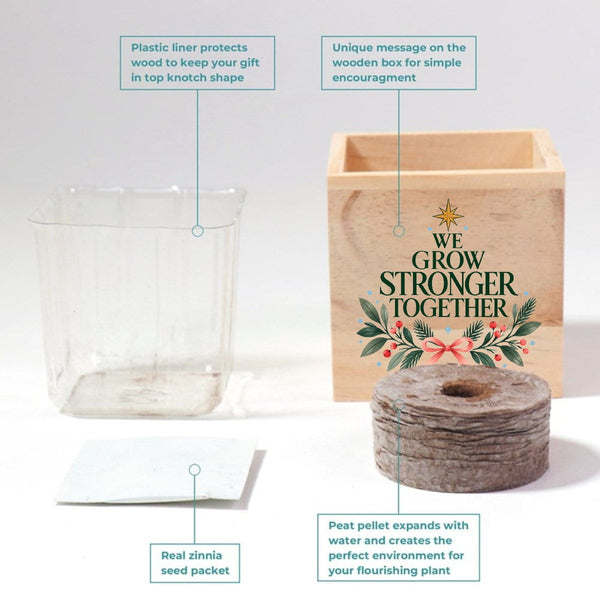 Appreciation Plant Cube - Stronger Together Holiday