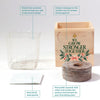 Appreciation Plant Cube - Stronger Together Holiday