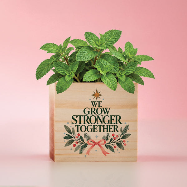Appreciation Plant Cube - Stronger Together Holiday