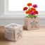 Appreciation Plant Cube - Grateful Holiday