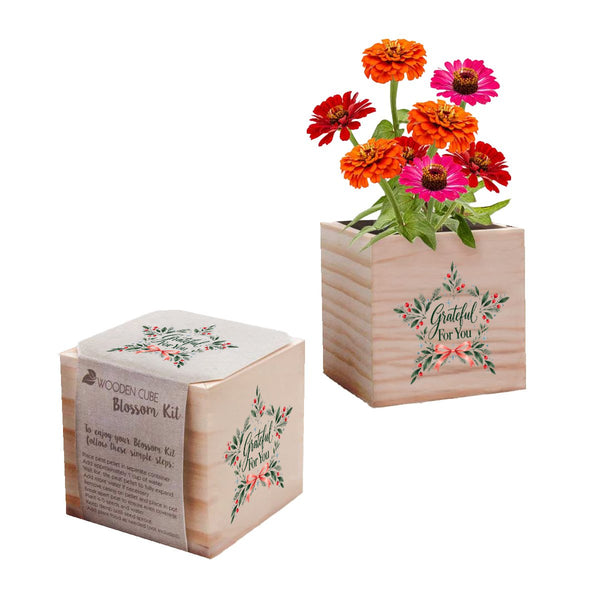 Appreciation Plant Cube - Grateful Holiday