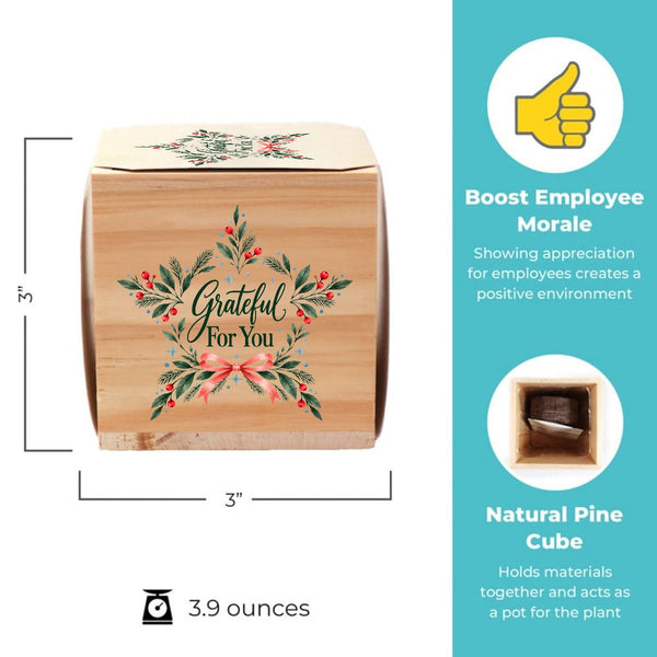 Appreciation Plant Cube - Grateful Holiday