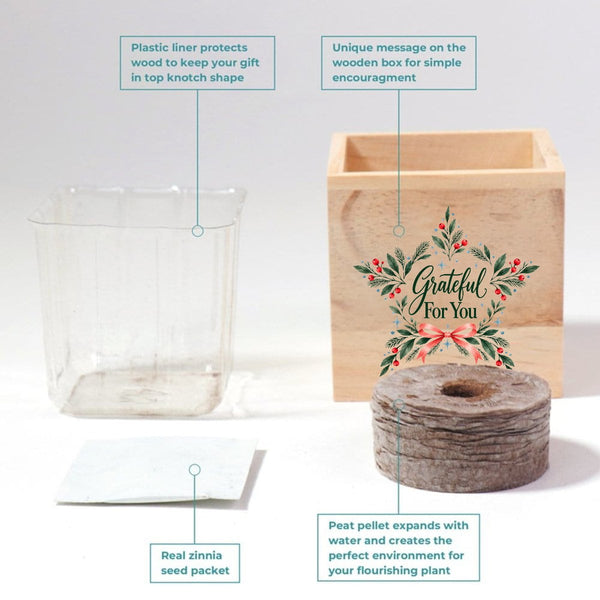 Appreciation Plant Cube - Grateful Holiday