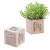 Appreciation Plant Cube - Truly Appreciated Holiday