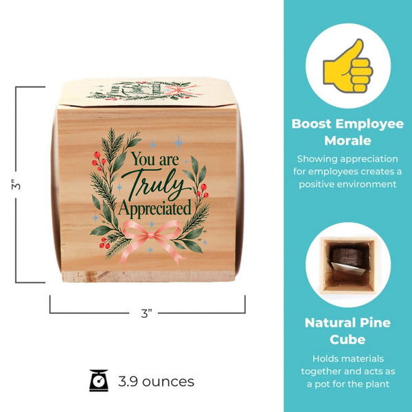 Appreciation Plant Cube - Truly Appreciated Holiday