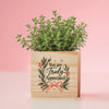 Appreciation Plant Cube - Truly Appreciated Holiday