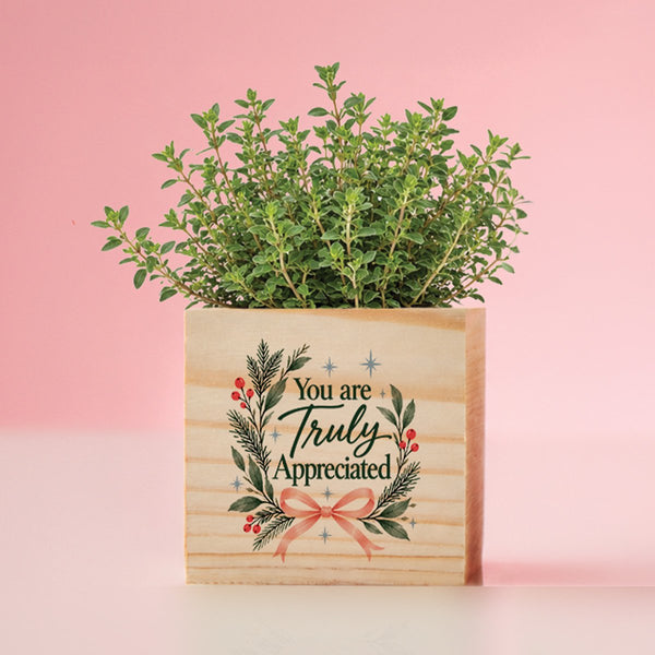Appreciation Plant Cube - Truly Appreciated Holiday
