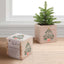 Appreciation Plant Cube - Thank You for Helping Us Grow Holiday